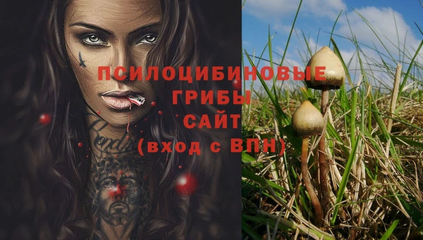 стафф Барнаул