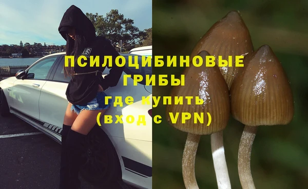амфетамин Ладушкин