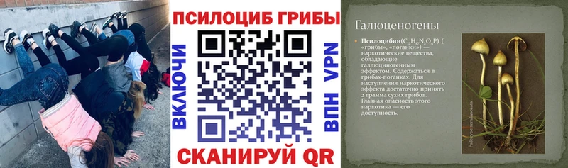 где купить наркоту  Луга  Галлюциногенные грибы мицелий 
