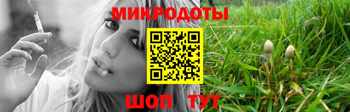 Псилоцибиновые грибы мухоморы Луга