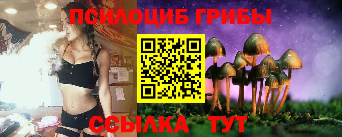 Псилоцибиновые грибы мицелий  Вход с VPN  Луга  Галлюциногенные грибы Cubensis 
